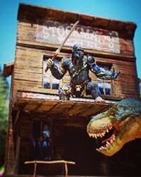 IMG_20180122_174306_938